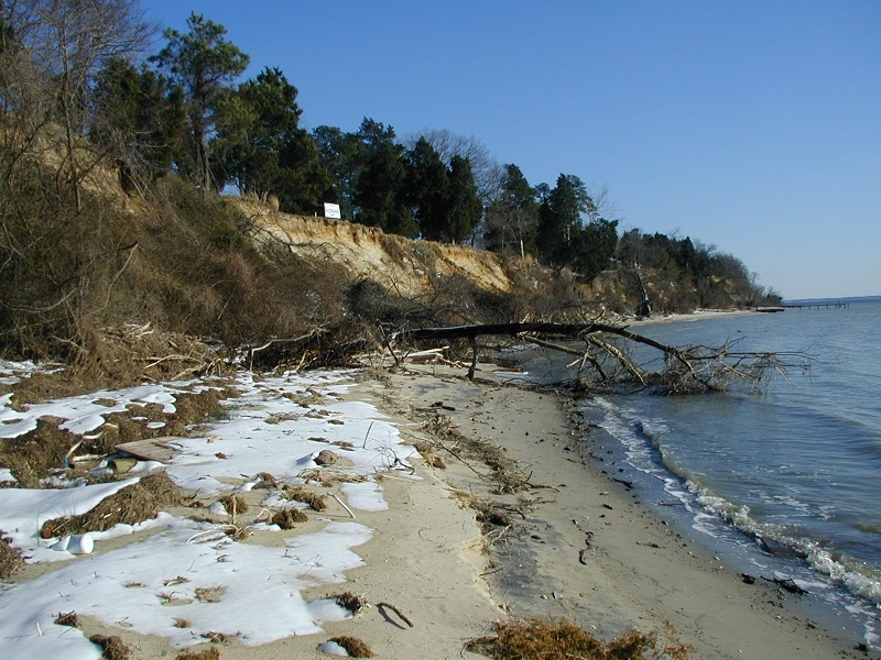 Before image showing eroding bank