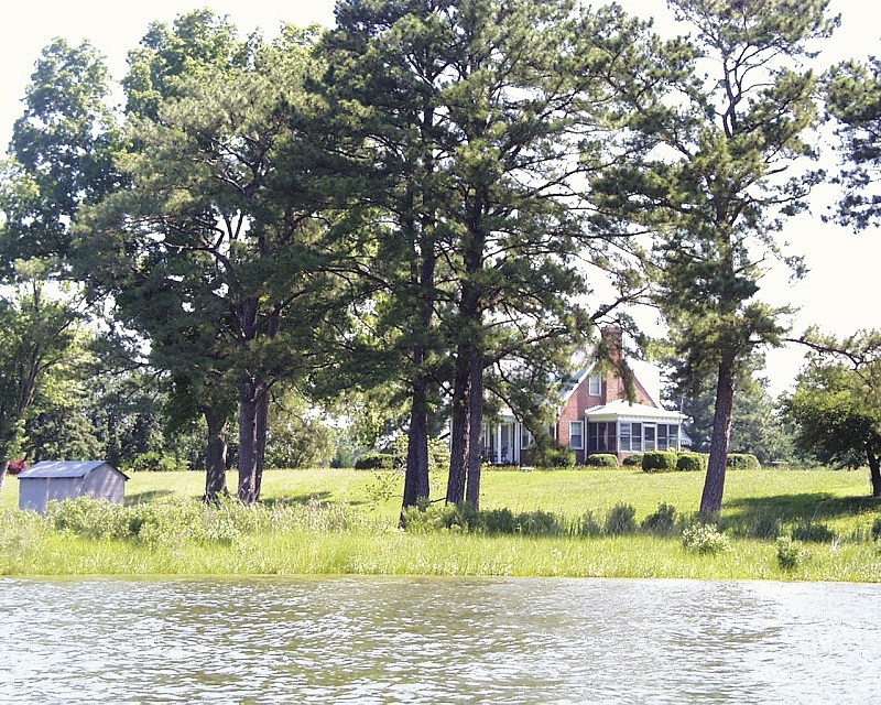 Low bank with marsh