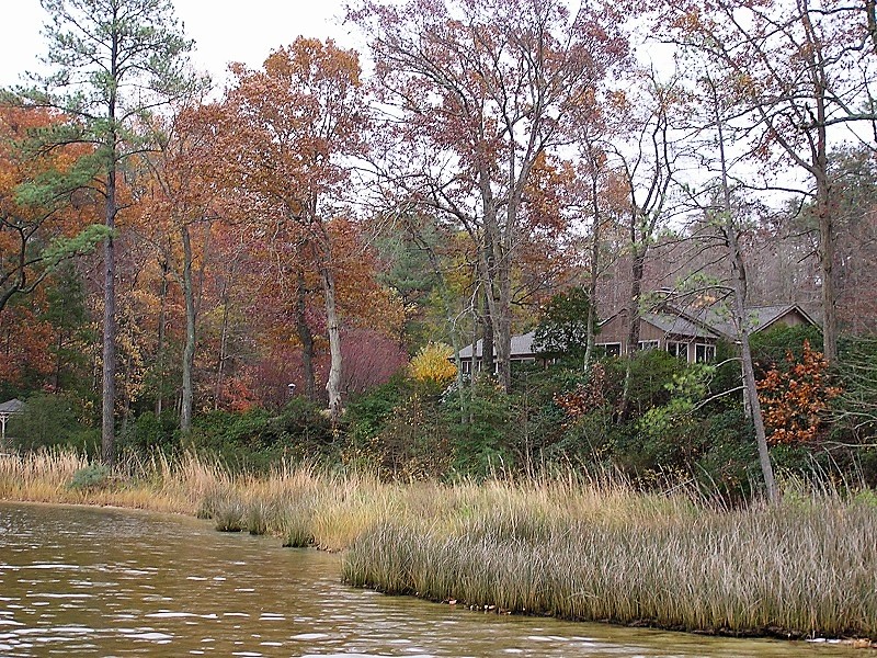 Marsh infront of a stable bank