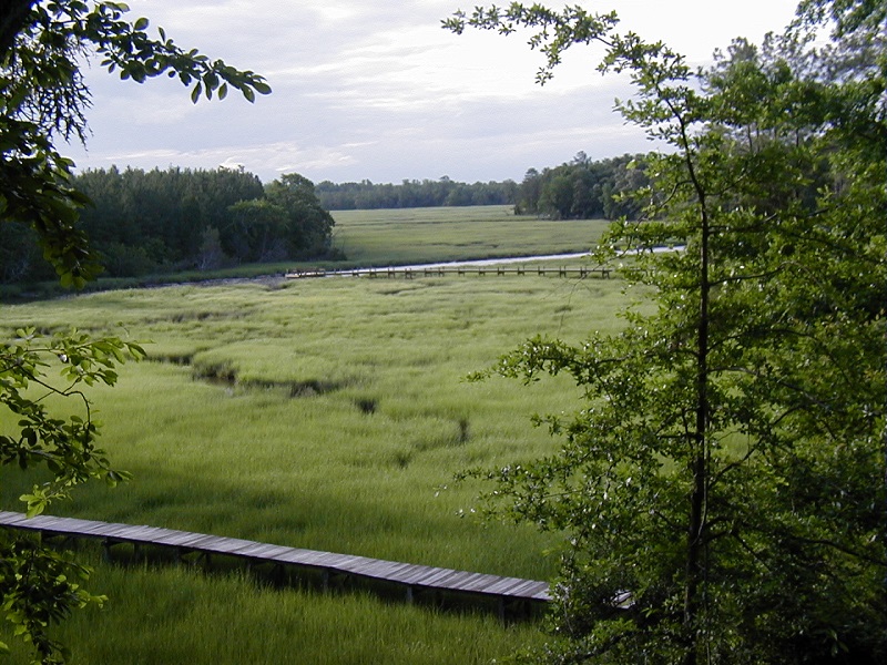 Wide marsh
