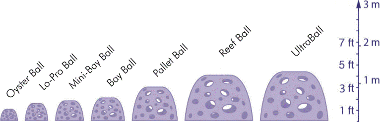 Graphic depicting different sizes of oyster reef balls.