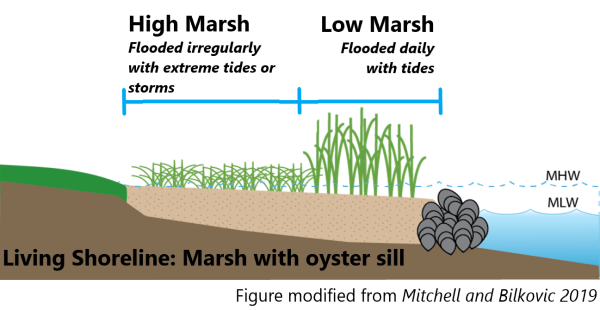 Diagram of living shoreline