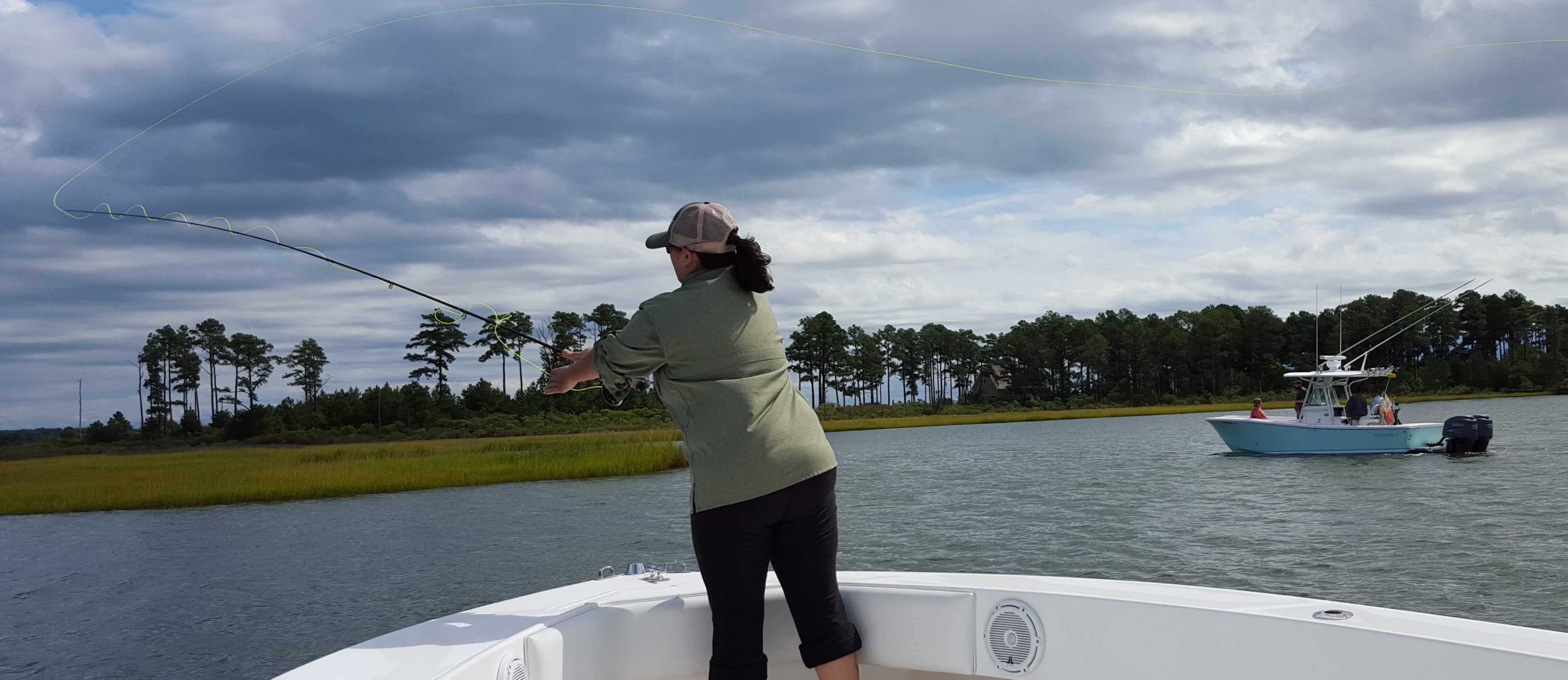 Image of a living shoreline project